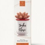 Tonka and clove reed diffuser 100ml in glass bottle with reeds for warm home fragrance décor in Lagos Nigeria
