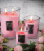 Vellutier Rosy Cheeks medium scented candle in glass jar with wooden lid on table Lagos Nigeria