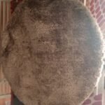 Revival ( Disc) 1.52 X 1.52 Wall Art