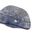 Clear Planter 23-1103