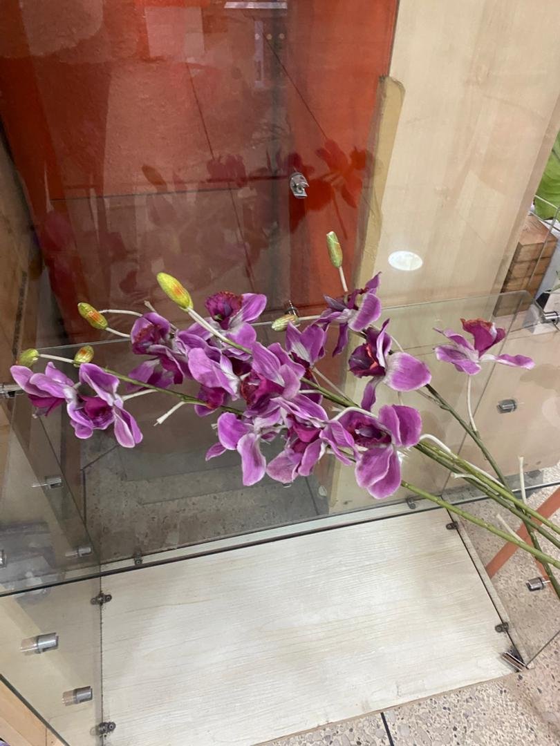 24510 Cymbidium Lavanda Flower - Image 1