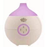 Iris White Aroma Diffuser With Mood Lighting