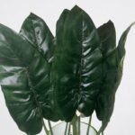 Vibrant green Anturium Verde artificial flower for luxury indoor floral styling in Lagos, Nigeria