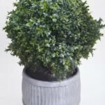 Artificial 55cm Buxus ball in a rustic milk churn planter for outdoor and indoor decor in Lagos, Nigeria
