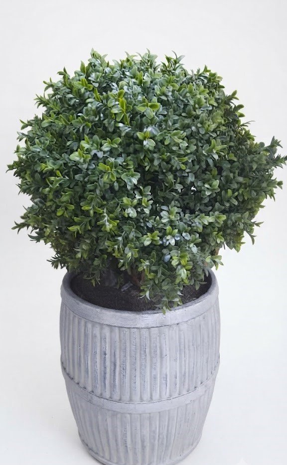 Artificial 55cm Buxus ball in a rustic milk churn planter for outdoor and indoor decor in Lagos, Nigeria