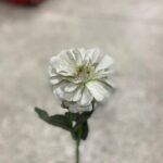 Water Proof Rain Coat