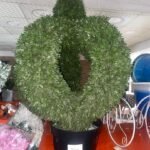 Outdoor Flower - Finnial Box Topiary In Pot