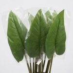 Cala Verde Natural Flower artificial green floral stem for vase décor, Lagos, Nigeria