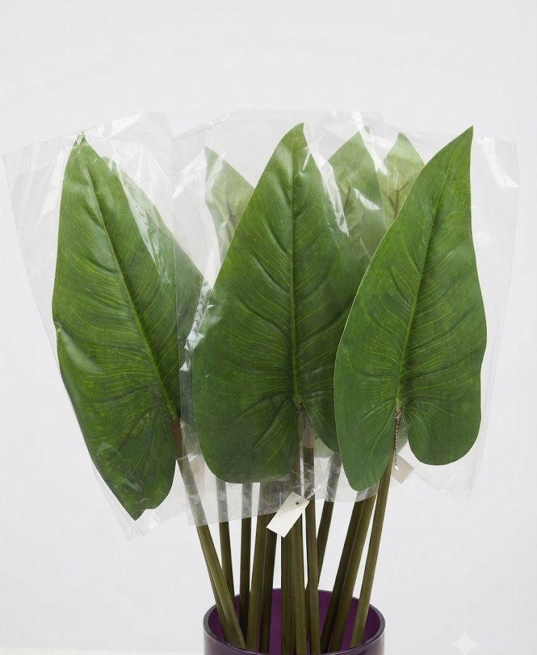 Floral Elegance Cala Verde Natural Flower Decorative Artificial Stem for Home Décor Cala Verde Natural Flower artificial green floral stem for vase décor, Lagos, Nigeria