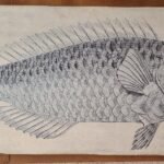 Fish Prints Wall Art – Modern Nautical Decorative Prints for Home