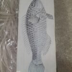 Fish Prints Wall Art