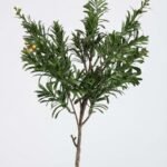 45cm green plastic artificial cross stephium leaf plant for realistic home and office decor in Lagos, Nigeria