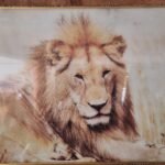 Golden Lion Glass Wall Art Picture 80 X 120 Cm