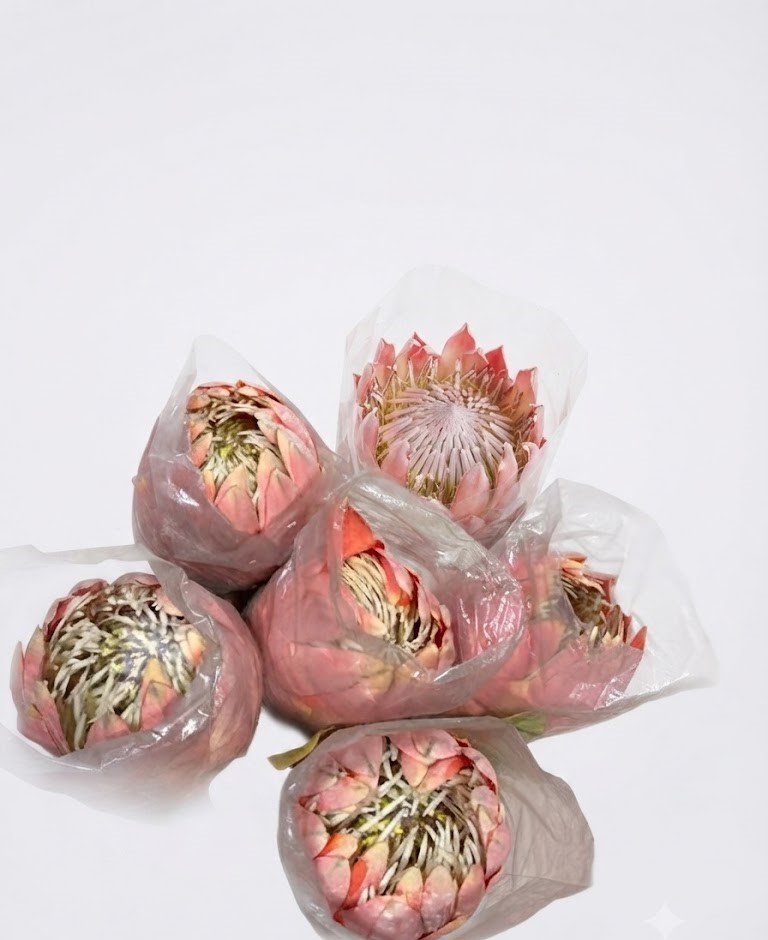 Artificial King Flower Amber stem Artificial King Flower Amber stem for home décor in Lagos, Nigeria, luxury faux floral arrangement in vase