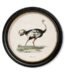 70cm round ostrich wall art canvas for luxury safari décor in living room Lagos, Nigeria home interior