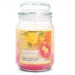 18Oz Scented Candle Jar Paradise Coolers
