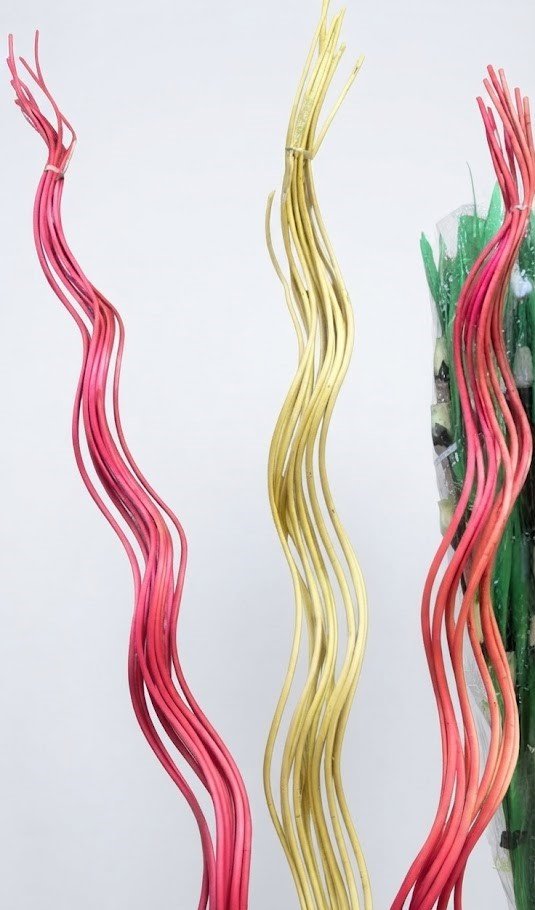 Tall bundles of pink and yellow spiral curly willow twigs for floor vase home decoration in Lagos, Nigeria