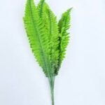 Green Fern Flower