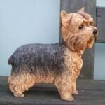 Yorkshire Terrier Figurine