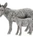 Detailed silver donkey foal animal sculpture for shelf and table décor in Lagos, Nigeria.