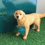 Labrador Golden Figurine
