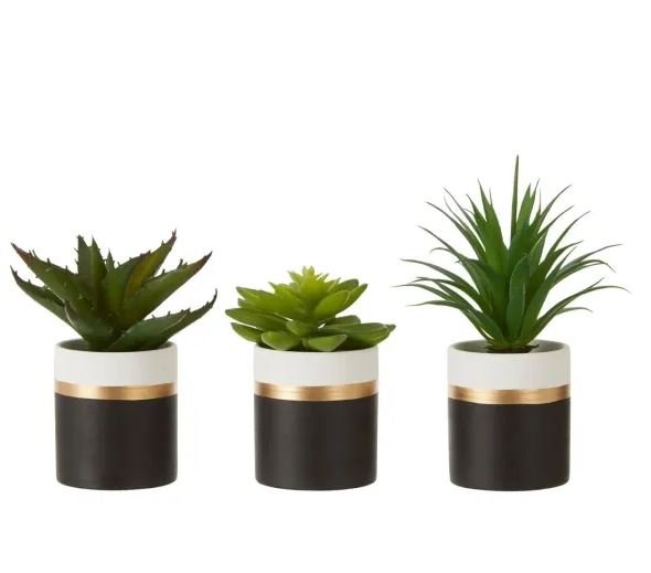 5018705473406 Fiori Set Of 3 Succulents Lotus/Aloe Vera/ Ceramic Flower Pot - Image 1