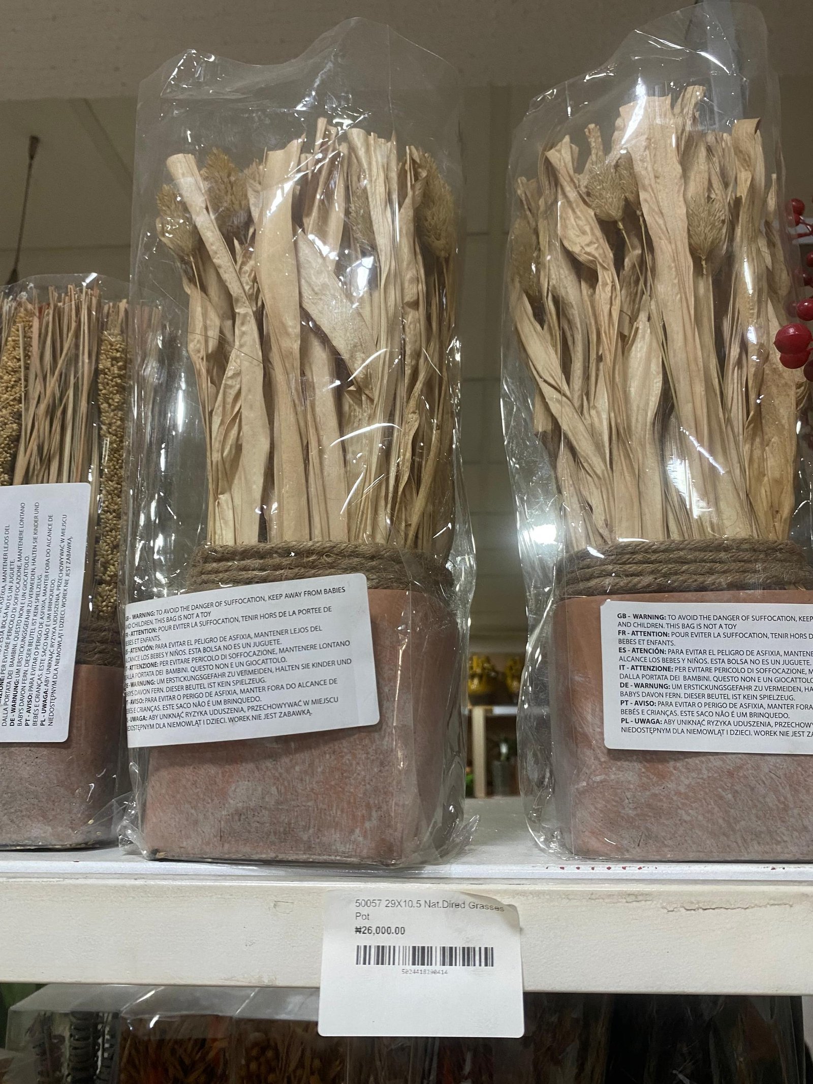 5024418290414 Nat.Dried Grasses Pot Flower - Image 1