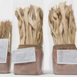 Natural dried grasses pot flower arrangement in decorative vase for home décor in Lagos, Nigeria