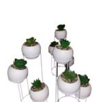 28Cm Set Of 3 Succulents On Stand Flower