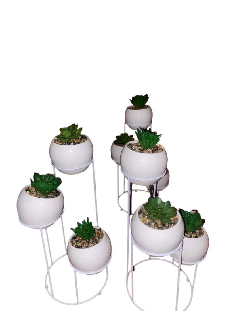 5024418332053 28Cm Set Of 3 Succulents On Stand Flower - Image 1