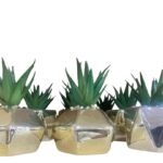 10.5Cm Gold Colour Succulent Potted Plant Flower