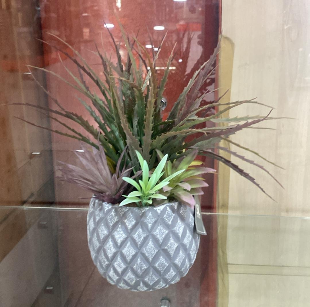 5024418362821 34Cm Succulents In Grey Pot Flower - Image 1