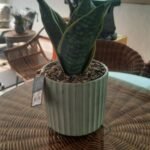 28Cm Artificial Plant In Pot Flower