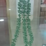 16X11 Succulents In Wall Deco