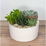 16X25Cm Succulent Garden Plant Flower