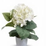 Realistic green artificial succulent in a decorative ceramic pot for modern home office décor in Lagos, Nigeria