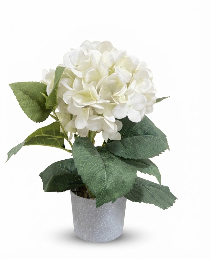 Realistic green artificial succulent Realistic green artificial succulent in a decorative ceramic pot for modern home office décor in Lagos, Nigeria
