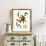 20X25 Framed Fruit Wall Art