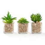 6.5*17Cm Artificial Plants Flower