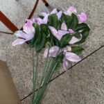 African Violet Pick Flower