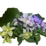 Orchid Possy 4 Cols Flower