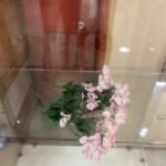 Blossom Bush 4 Cols Asstd Flower