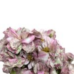 Sgl Romantic Rose Flower