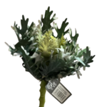 Realistic cream and green 46cm wild cabbage flower stem for floral arrangements in Lagos, Nigeria