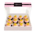 Cupcake Boxes