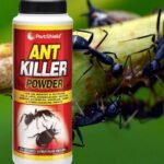 Ant Killer Powder 150G