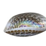 Decorative Bowl With Snail Shell