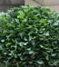 Big round flower ball decorative floral centerpiece for table or event décor in Lagos, Nigeria