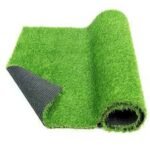 Carpet Grass