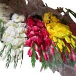 Pieces Of Life Flower Asst.